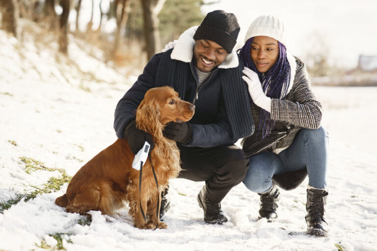 How to Care for Your Dog During the Cold Season